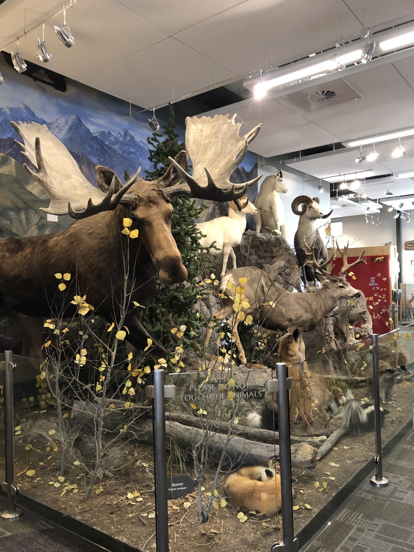 Frehner Museum